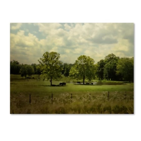 Jai Johnson 'Cattle Pond In Summer' Canvas Art,35x47